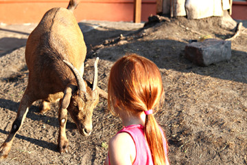  Red skin butts red-haired girl. Effective photo. Free space for text.