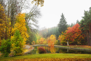 Obraz premium View of beautiful pond in autumn park