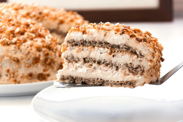 slice of egyptian cake on the shoulder blade. closeup.