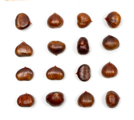 Edible Sweet Chestnuts, Healthy Autumn and Christmas Food