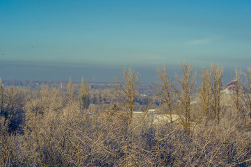 Winter urban frosty landscape - snow covered trees on foggy background