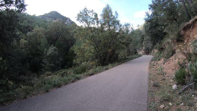 Motorbike in a rural road in third person with trees.(back)
