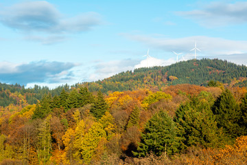 Fototapeta premium Black forest hills near Freiburg im Breisgau in Germany, autumnal colors, and three wind turbines on the top.