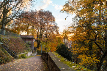 Fototapeta na wymiar View of an autumnal path between the German city of Freiburg and Schlossberg hill
