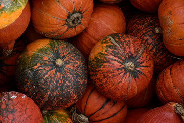 A large orange pumpkin with a stalk for sale at a farmers market.
