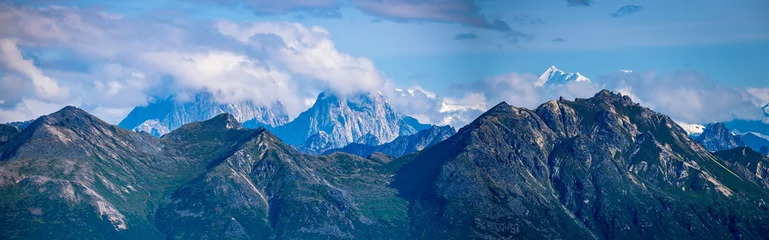 Photo sur Plexiglas Denali Alaska mountain range
