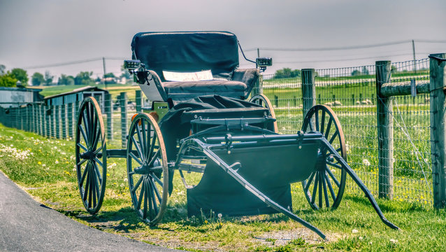 Amish Open Buggy For Sale on Side of the Road on a Sunny Day