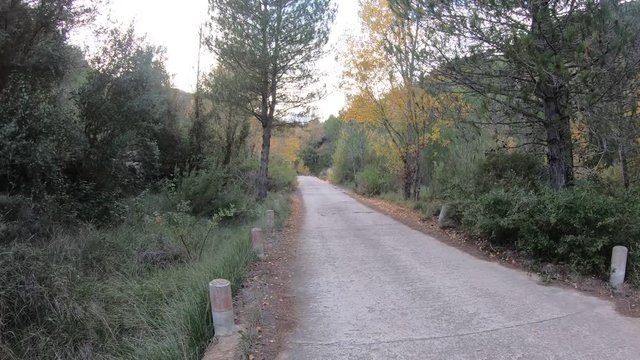 Motorbike in a rural road in third person with trees.(facing motorbike)