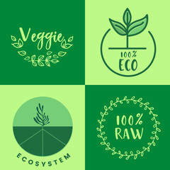 Raw product and eco oriented badges set. Vector illustration 