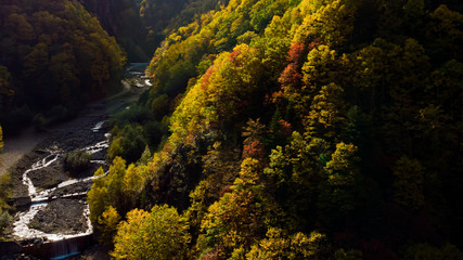 Autumn color in the mountain