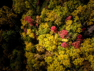 abstract colorful background