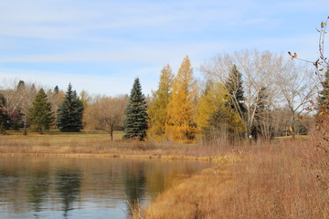 Fototapeta na wymiar Autumn By The Lake, Gold Bar Park, Edmonton, Alberta