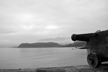 cañon siempre de guardia