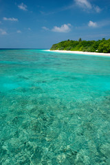 Fototapeta na wymiar Maldivian beach