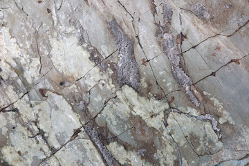Kalkschiefer - calcareous schist