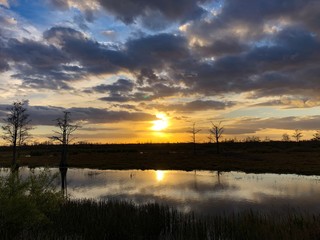 Fototapeta na wymiar Silhouette of cypress trees and bayou during sunset in the swamp