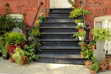 Fototapeta na wymiar Entry stairs with potted plants