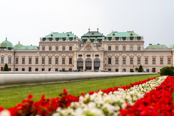Fototapeta premium Schloss Belvedere