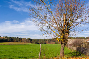 Wzgórza Sokólskie, Tradycyjna architektura drewniana, Krzyże i kapliczki © podlaski49