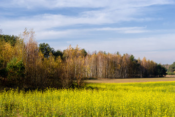 Wzgórza Sokólskie, Tradycyjna architektura drewniana, Krzyże i kapliczki © podlaski49