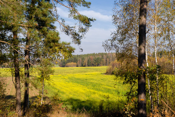 Wzgórza Sokólskie, Tradycyjna architektura drewniana, Krzyże i kapliczki © podlaski49