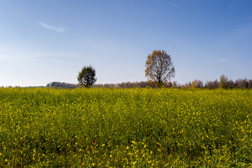 Wzgórza Sokólskie, Tradycyjna architektura drewniana, Krzyże i kapliczki © podlaski49