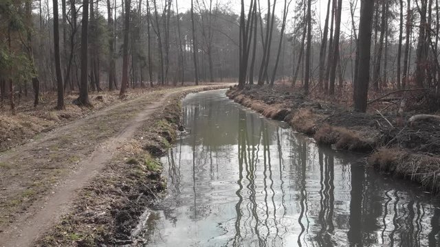 water canal in the forest