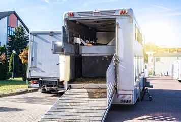Auto trailer for transportation of horses . Horse transportation van