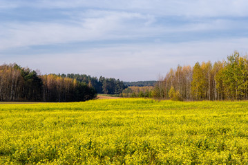 Wzgórza Sokólskie, Tradycyjna architektura drewniana, Krzyże i kapliczki © podlaski49