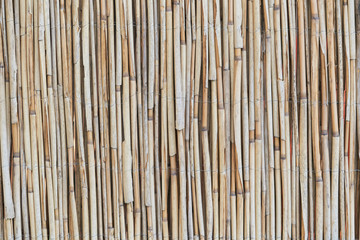 Dry bamboo fence natural background.