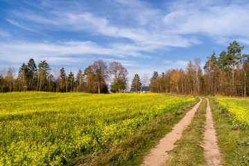 Wzgórza Sokólskie, Tradycyjna architektura drewniana, Krzyże i kapliczki © podlaski49