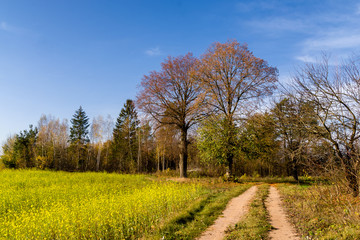 Wzgórza Sokólskie, Tradycyjna architektura drewniana, Krzyże i kapliczki © podlaski49
