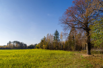 Wzgórza Sokólskie, Tradycyjna architektura drewniana, Krzyże i kapliczki © podlaski49