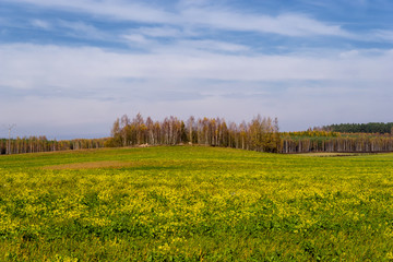Wzgórza Sokólskie, Tradycyjna architektura drewniana, Krzyże i kapliczki © podlaski49