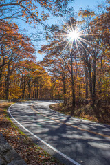 Skyline Drive , Shenandoah National Park