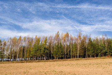 Wzgórza Sokólskie, Tradycyjna architektura drewniana, Krzyże i kapliczki © podlaski49