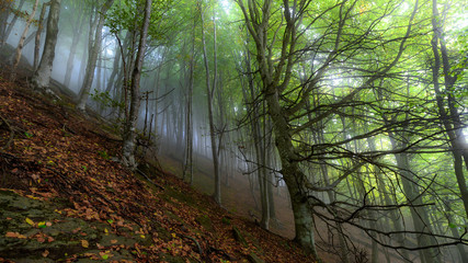 Fototapeta premium Boira 4