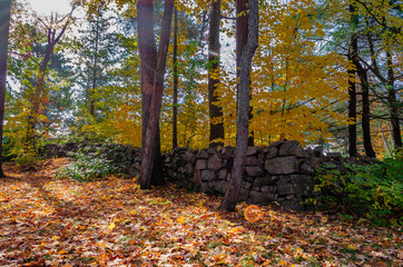 Low stone wall in sunlight across fallen leaves