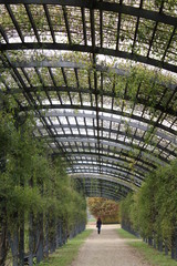 Ragazza solitaria nel parco in autunno