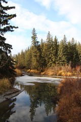 Fototapeta na wymiar November On The Creek, Whitemud Park, Edmonton, Alberta