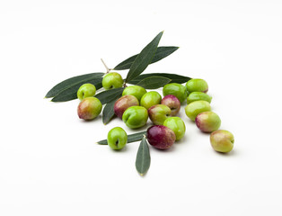 Fresh olives