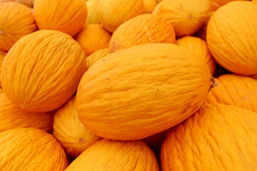 Fresh melons at the market