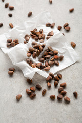 organic pine nuts on gray background