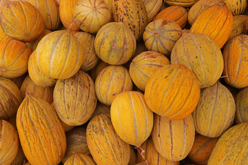 Fresh melons at the market