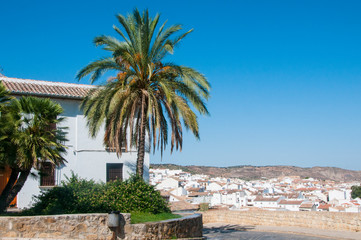 Fototapeta na wymiar Palm tree and white house on the background of Antequera. White houses of Spanish town.