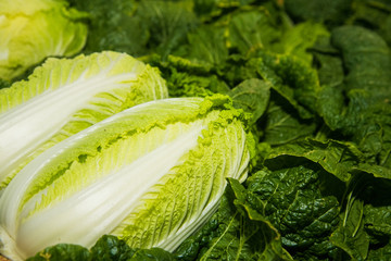 Fresh green chinese cabbage as a background
