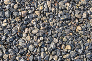 Background. Wet stones with dry leaves fragments..