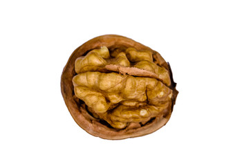 One walnut isolated on the white background