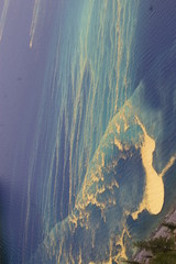 Conifer Pollen Floating Mats