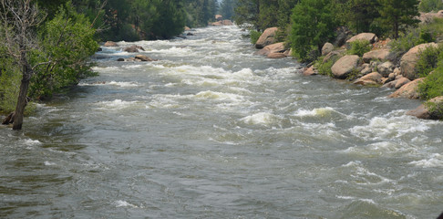 Early Summer in Colorado: Arkansas River Running High and Fast North of Buena Vista